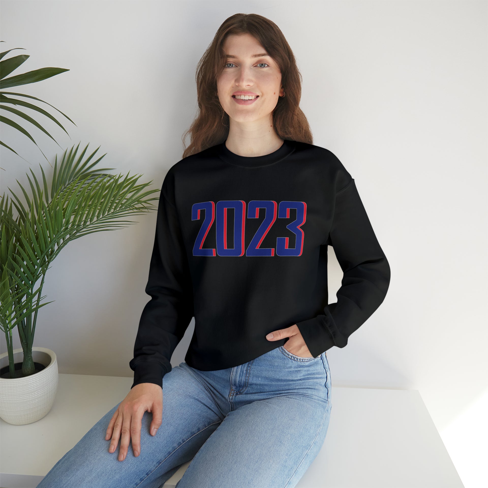 2023 Stars & Stripes Sweater - TalkPeng