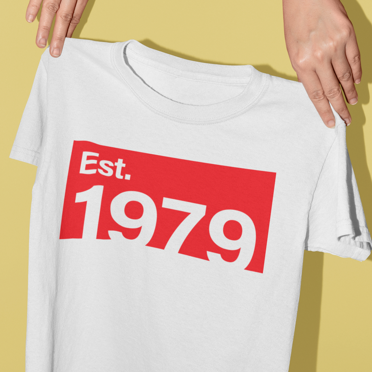 1979 Ketchup Softstyle Tee - TalkPeng