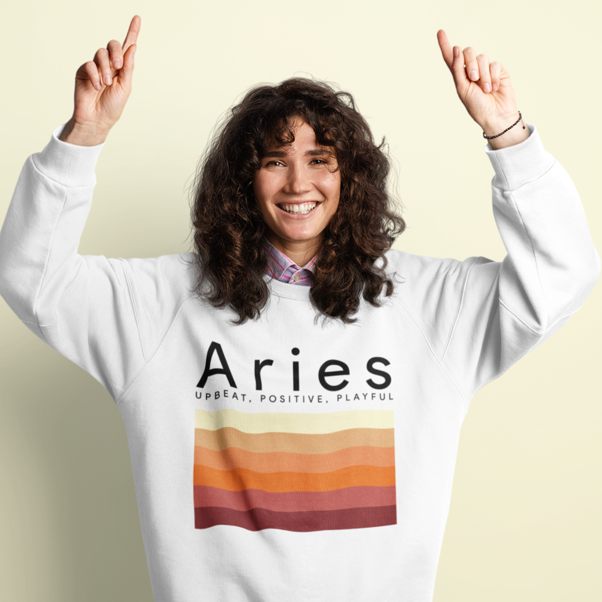 Aries sweater top