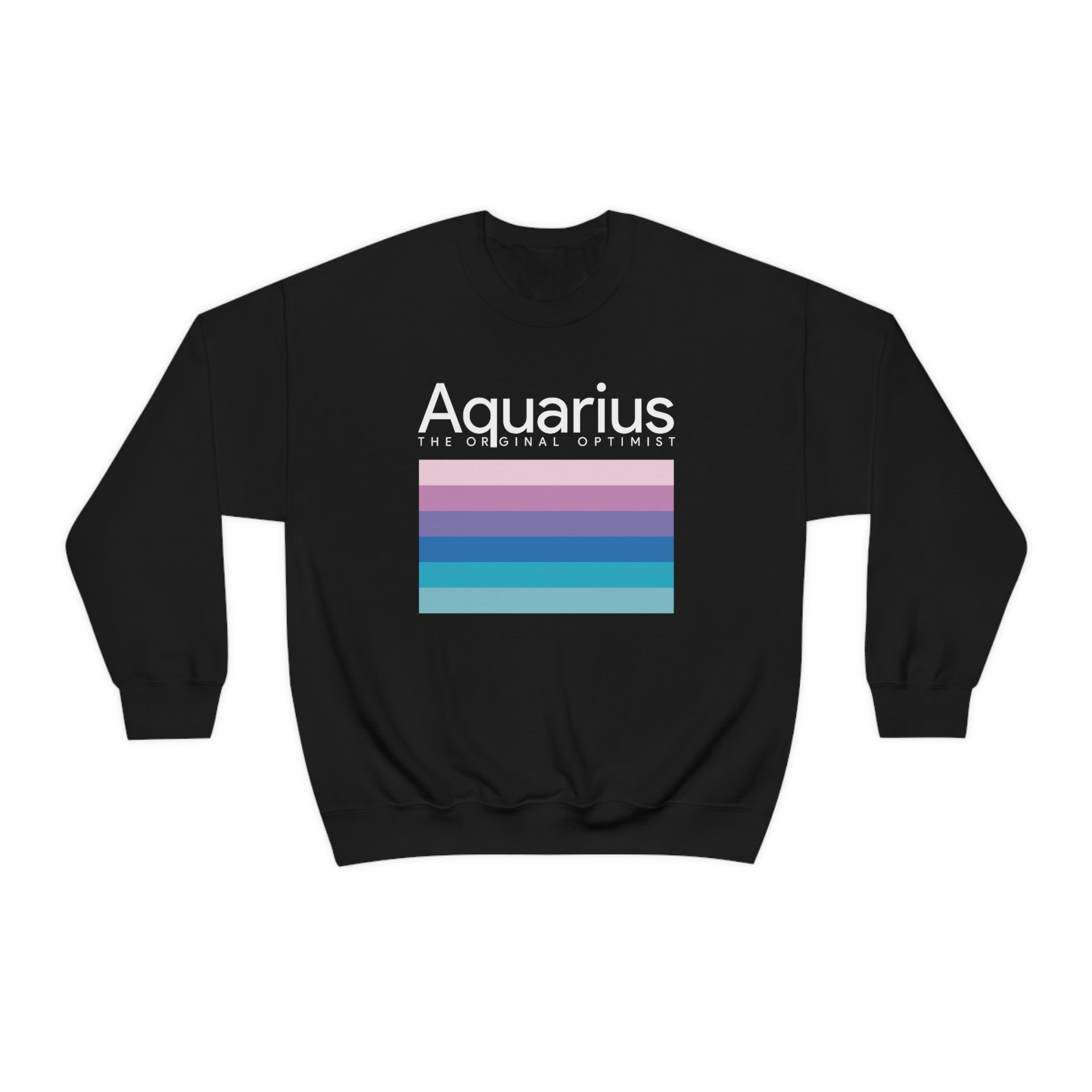 We are AQUARIUS Sweater - TalkPeng